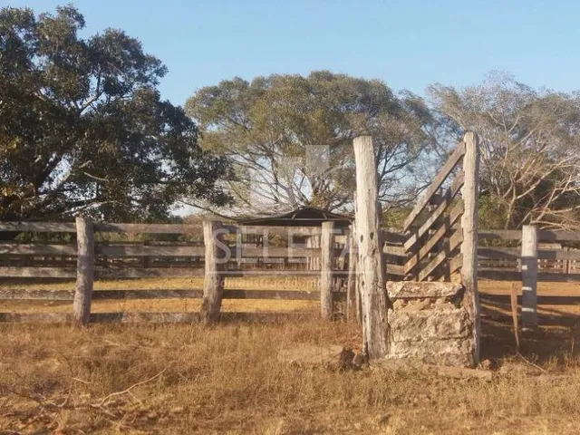 Imagem 6: Fazenda à venda, Zona Rural, GENERAL CARNEIRO - MT