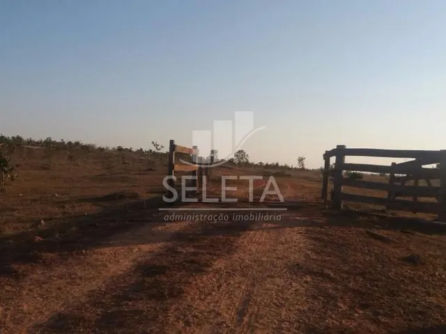 Imagem 7: Fazenda à venda, Zona Rural, GENERAL CARNEIRO - MT