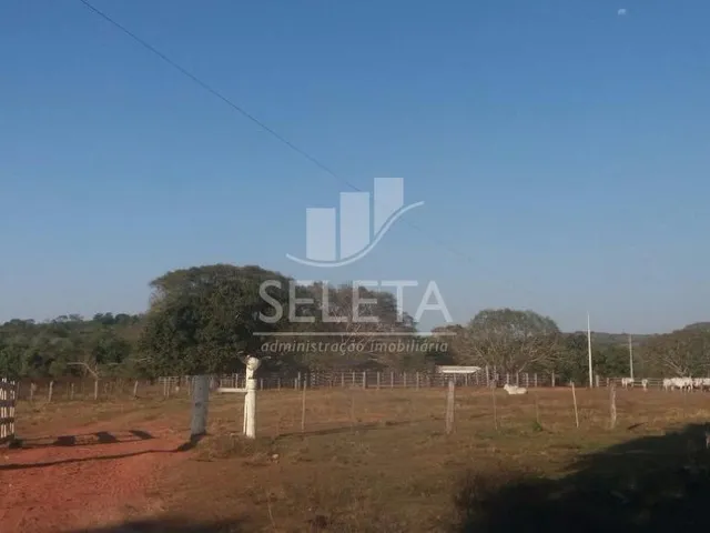 Imagem 3: Fazenda à venda, Zona Rural, GENERAL CARNEIRO - MT