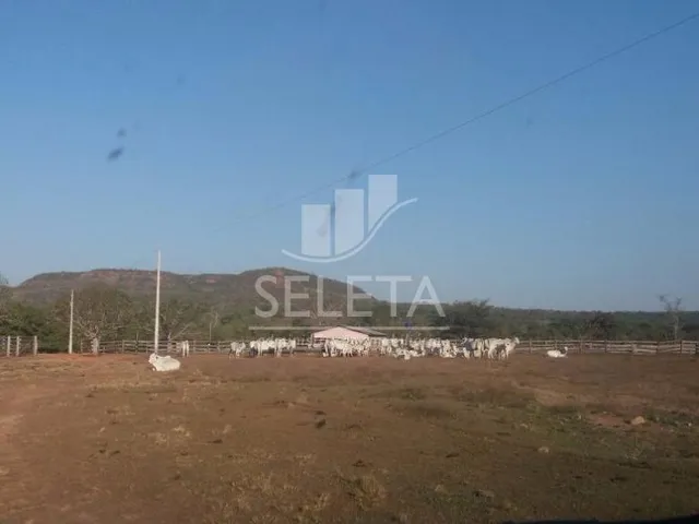 Imagem 9: Fazenda à venda, Zona Rural, GENERAL CARNEIRO - MT