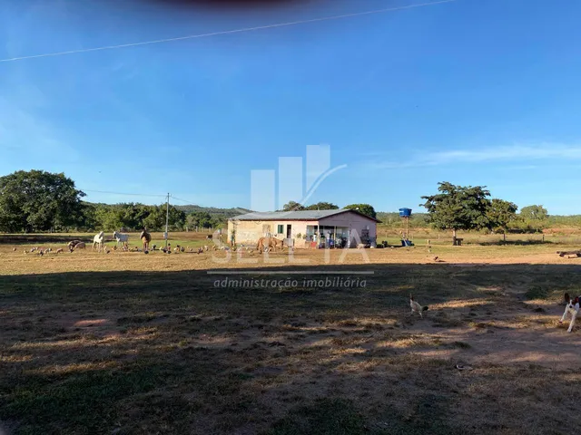 Imagem 12: Fazenda à venda, Zona Rural, GENERAL CARNEIRO - MT