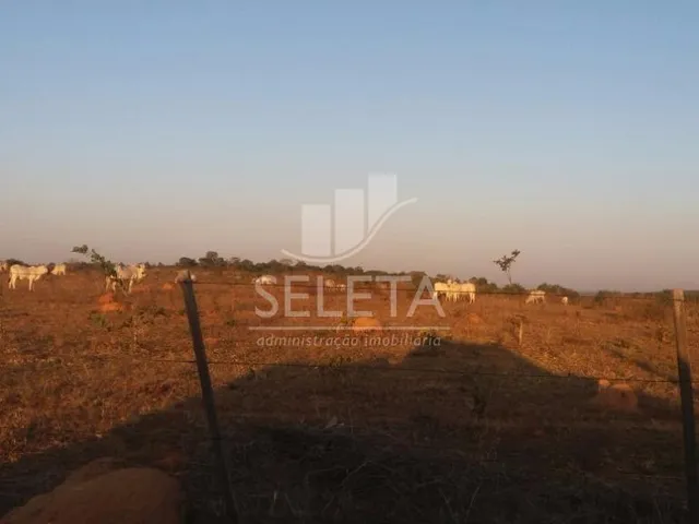 Imagem 8: Fazenda à venda, Zona Rural, GENERAL CARNEIRO - MT