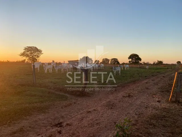 Imagem 10: Fazenda à venda, Zona Rural, GENERAL CARNEIRO - MT