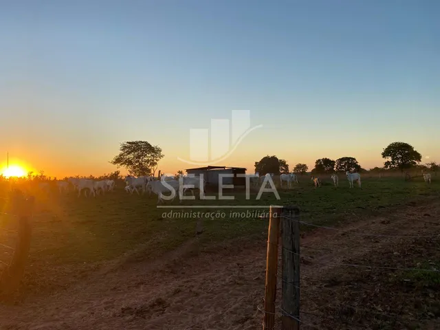 Imagem 11: Fazenda à venda, Zona Rural, GENERAL CARNEIRO - MT