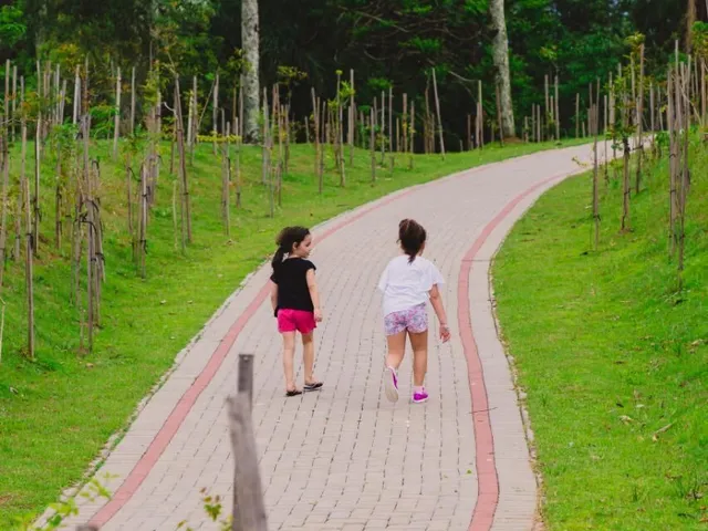 Imagem 8: Terreno em condomínio fechado, vista privilegiada