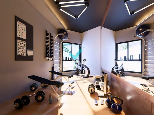 Imagem 4: Dolphin Smart Flats