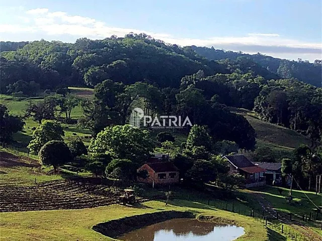 Imagem 8: Chácara à Venda