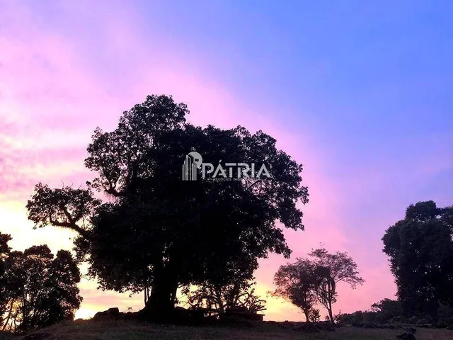 Imagem 10: Chácara à Venda