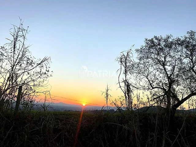 Imagem 11: Chácara à Venda