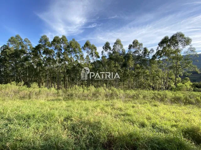Imagem: ÁREA RURAL COM 45 HA, ÓTIMA PARA CHÁCARA