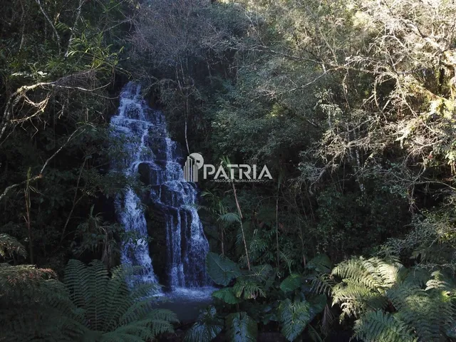 Imagem 13: ÁREA COM 2,25 HA, COM CASCATA, EM VERA CRUZ
