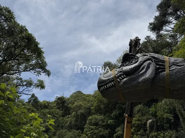 Imagem 10: ÁREA COM 2,25 HA, COM CASCATA, EM VERA CRUZ