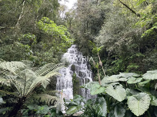 Imagem 5: ÁREA COM 2,25 HA, COM CASCATA, EM VERA CRUZ