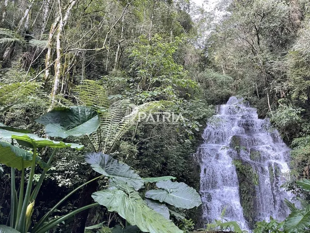 Imagem 9: ÁREA COM 2,25 HA, COM CASCATA, EM VERA CRUZ