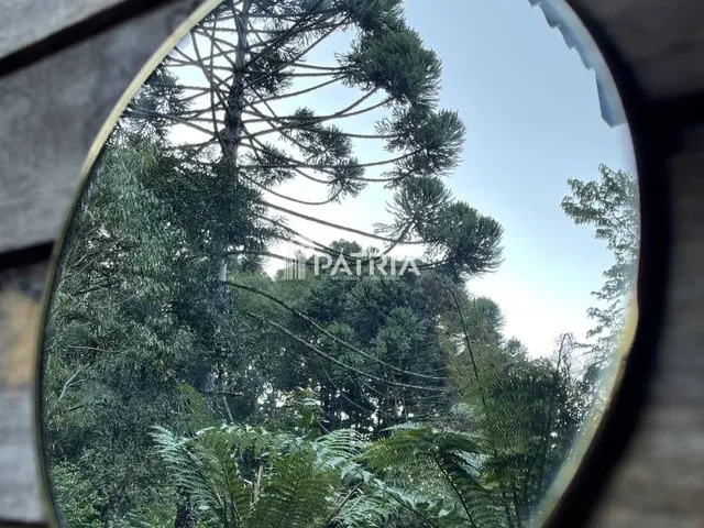 Imagem 11: ÁREA COM 2,25 HA, COM CASCATA, EM VERA CRUZ