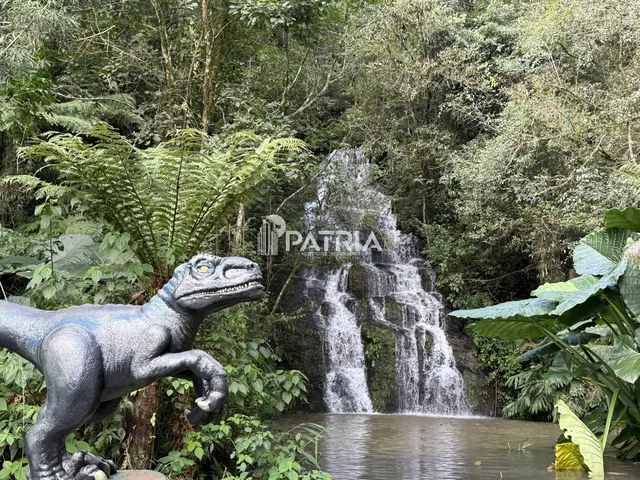 Imagem 4: ÁREA COM 2,25 HA, COM CASCATA, EM VERA CRUZ