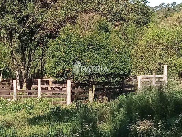 Imagem: ÓTIMA ÁREA RURAL PARA CHÁCARA OU LAVOURA