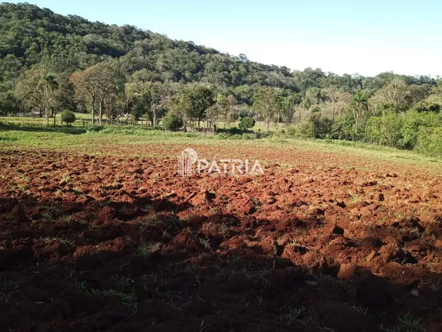 Imagem 16: ÓTIMA ÁREA RURAL PARA CHÁCARA OU LAVOURA, EM VERA CRUZ
