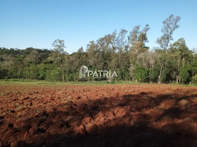 Imagem 15: ÓTIMA ÁREA RURAL PARA CHÁCARA OU LAVOURA, EM VERA CRUZ