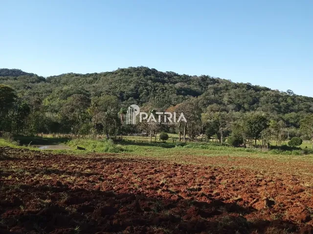 Imagem 5: ÓTIMA ÁREA RURAL PARA CHÁCARA OU LAVOURA, EM VERA CRUZ