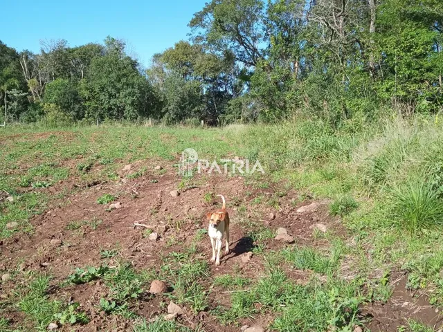 Imagem 7: ÓTIMA ÁREA RURAL PARA CHÁCARA OU LAVOURA, EM VERA CRUZ