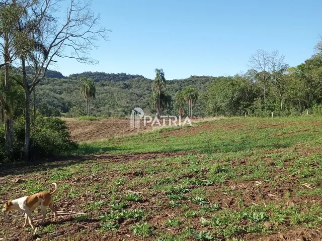 Imagem 11: ÓTIMA ÁREA RURAL PARA CHÁCARA OU LAVOURA, EM VERA CRUZ