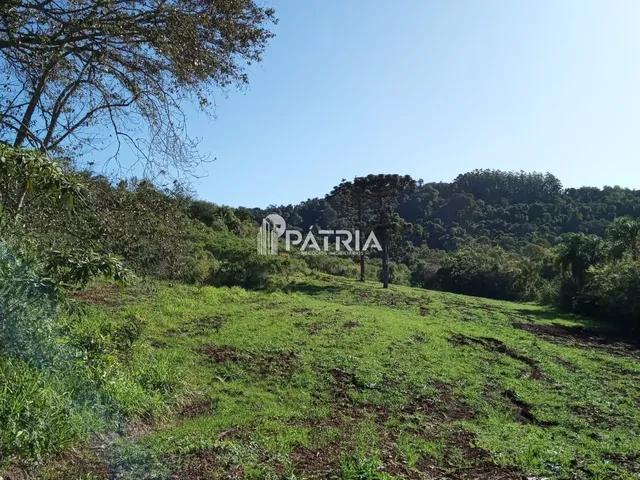 Imagem 9: ÓTIMA ÁREA RURAL PARA CHÁCARA OU LAVOURA, EM VERA CRUZ