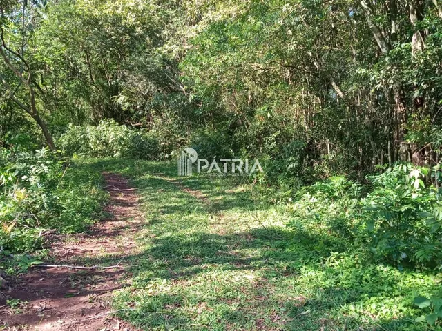Imagem 10: ÓTIMA ÁREA RURAL PARA CHÁCARA OU LAVOURA, EM VERA CRUZ