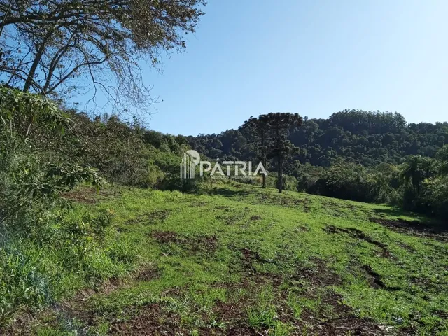 Imagem 12: ÓTIMA ÁREA RURAL PARA CHÁCARA OU LAVOURA, EM VERA CRUZ