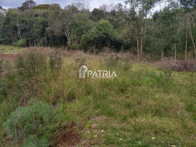 Imagem 2: ÓTIMA ÁREA RURAL PARA CHÁCARA OU LAVOURA, EM VERA CRUZ