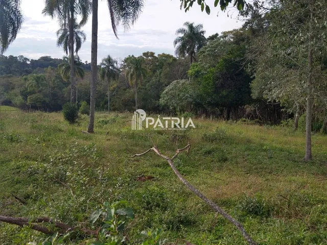 Imagem 4: ÓTIMA ÁREA RURAL PARA CHÁCARA OU LAVOURA, EM VERA CRUZ