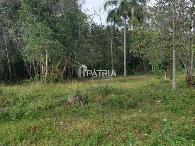 Imagem 3: ÓTIMA ÁREA RURAL PARA CHÁCARA OU LAVOURA, EM VERA CRUZ