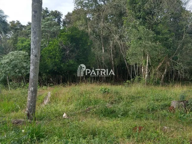 Imagem 14: ÓTIMA ÁREA RURAL PARA CHÁCARA OU LAVOURA, EM VERA CRUZ