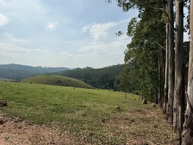 Imagem 3: Sítio em Guararema