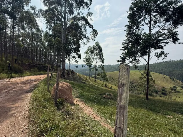 Imagem 6: Sítio em Guararema