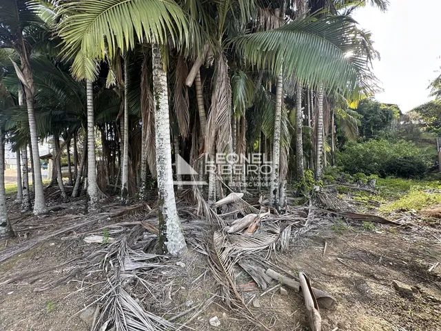 Imagem 7: Terreno à venda, 1.262,70m² no bairro das Capitais em Timbó/SC
