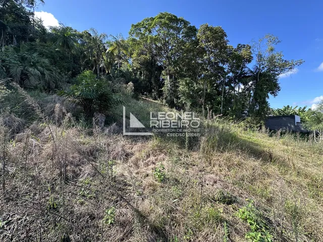 Imagem 8: Terreno à venda com 2.464,95 m² no bairro Quintino em Timbó-SC