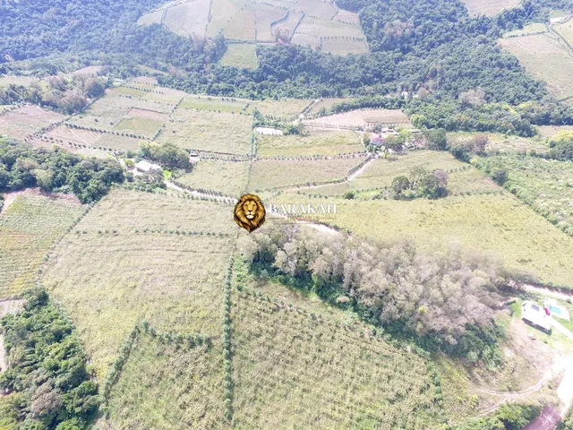 Imagem 4: Chácara À Venda no Bairro Centro - Monte Belo do Sul/Rs