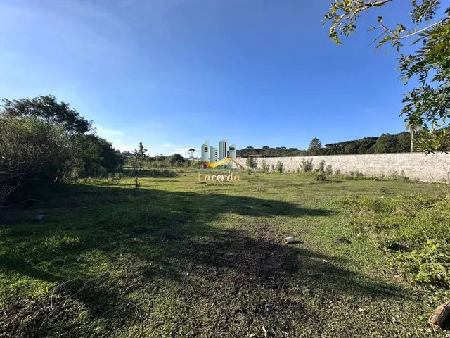 Imagem 12: Área à Venda em Pinhais/PR