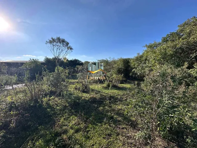 Imagem 9: Área à Venda em Pinhais/PR