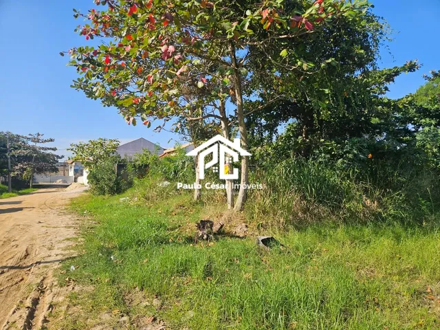 Imagem 4: Excelente terreno com 490,00m², medindo 14m x 35m, ótima localização!