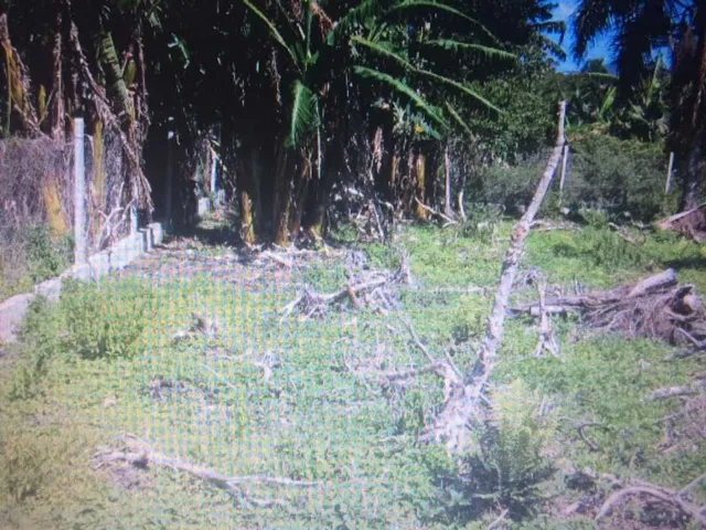 Imagem 4: Terreno à venda no bairro Pântano do Sul - Florianópolis/SC