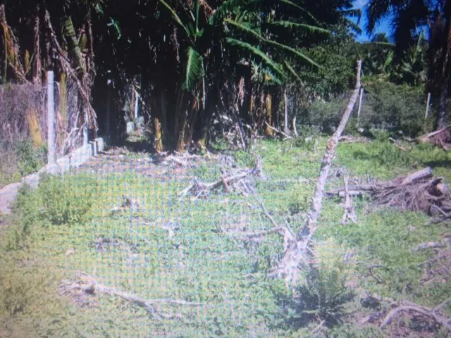 Imagem 5: Terreno à venda no bairro Pântano do Sul - Florianópolis/SC