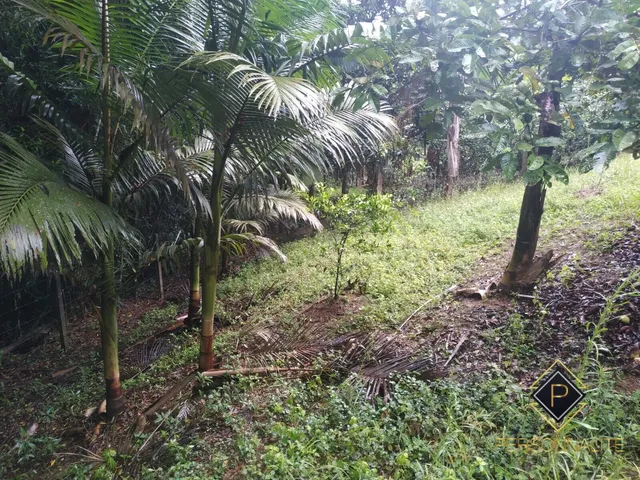 Imagem 11: Casa à venda no bairro Centro - Lontras/SC