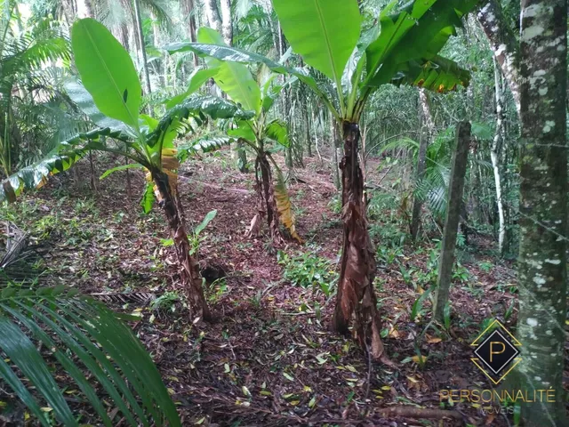 Imagem 8: Casa à venda no bairro Centro - Lontras/SC