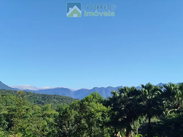 Imagem 3: ?? EXCELENTE CHÁCARA COM CASA, BARRACÃO E POMAR PRODUTIVO EM MORRETES/PR ??