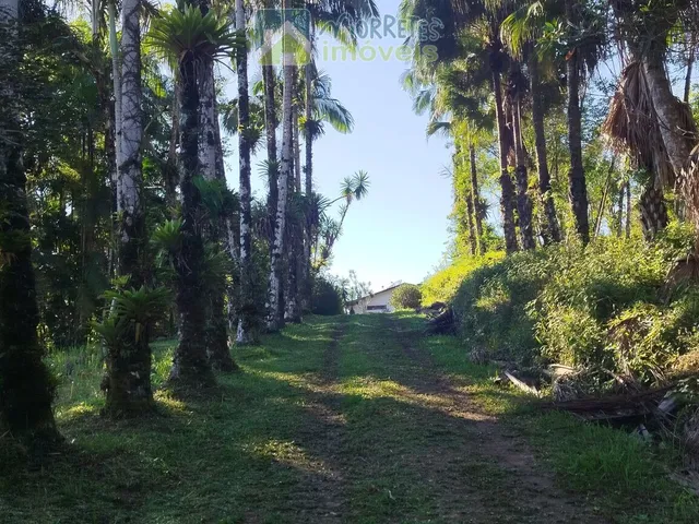 Imagem 15: ?? EXCELENTE CHÁCARA COM CASA, BARRACÃO E POMAR PRODUTIVO EM MORRETES/PR ??