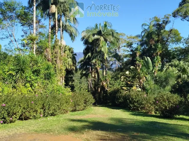Imagem 14: ?? EXCELENTE CHÁCARA COM CASA, BARRACÃO E POMAR PRODUTIVO EM MORRETES/PR ??