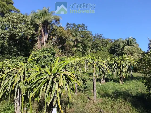 Imagem 2: ?? EXCELENTE CHÁCARA COM CASA, BARRACÃO E POMAR PRODUTIVO EM MORRETES/PR ??