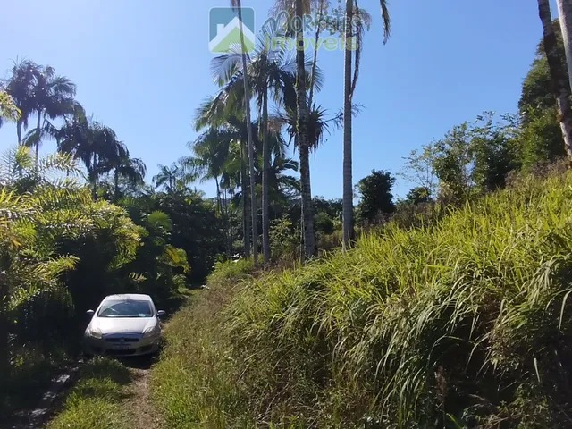 Imagem 11: ?? EXCELENTE CHÁCARA COM CASA, BARRACÃO E POMAR PRODUTIVO EM MORRETES/PR ??